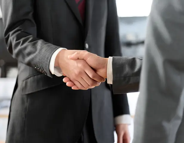 Two people shaking hands in a business deal.
