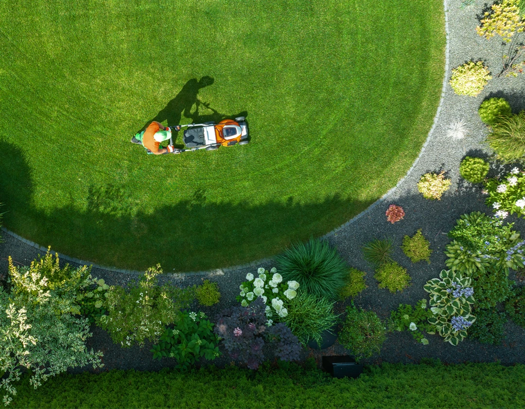 Aerial view of a homeowner mowing a lush green lawn bordered by a curved landscaped garden featuring shrubs, ornamental grasses, and flowering plants. The neatly maintained yard showcases professional lawn care and outdoor home maintenance.