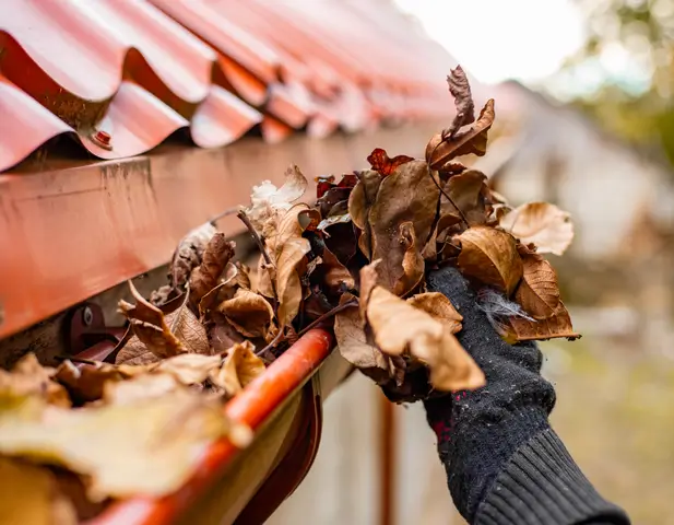 A homeowner taking part in a seasonal DIY project by clearing out the leaves of their home's gutters.