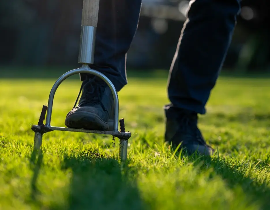 A man's foot preparing pushing down a aeration tool into grass.