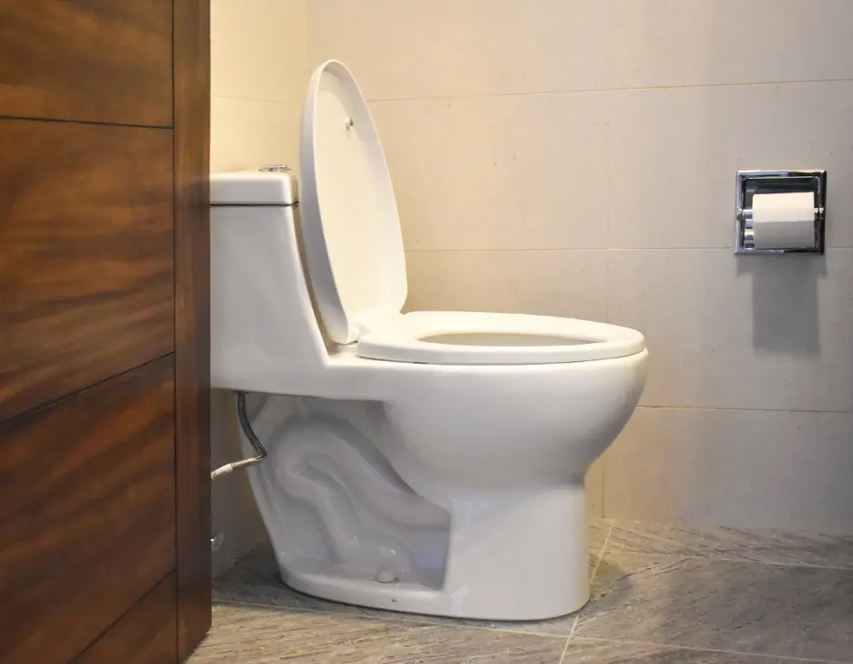 Profile of a toilet.