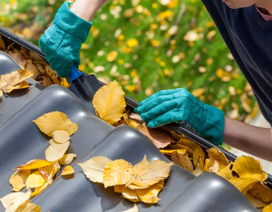 Someone cleaning the leaves out of a gutter on the roof.