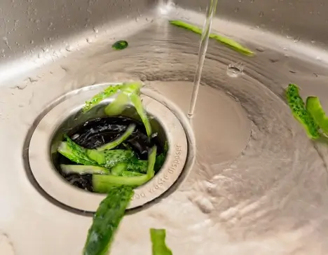 Vegetables about to be sent down the kitchen drain.