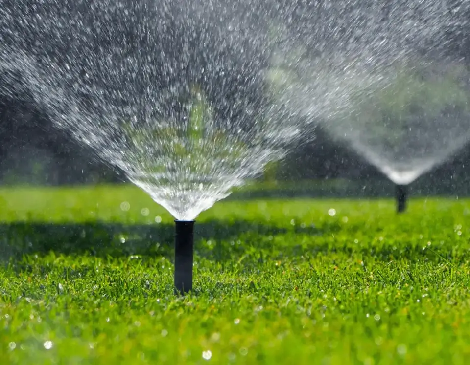Sprinklers spraying water onto a bright green lawn.