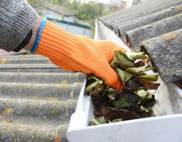A homeowner doing cleaning out the gutters in preparation for the autumn season.
